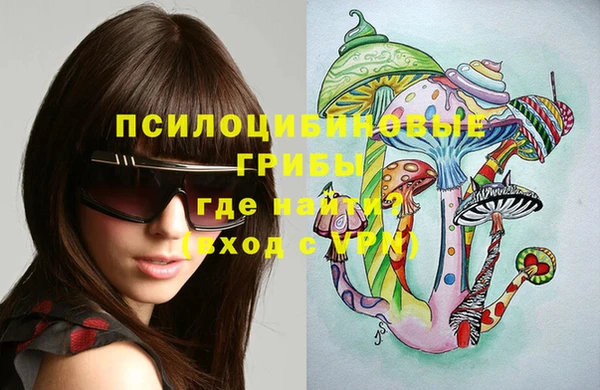 apvp Осташков