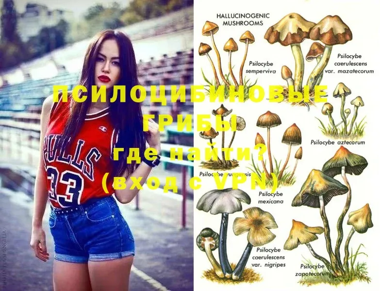 Псилоцибиновые грибы Magic Shrooms  Вологда 