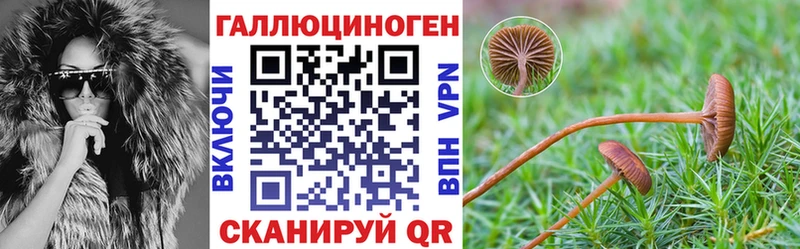 Галлюциногенные грибы мицелий  наркошоп  kraken онион  Вологда 